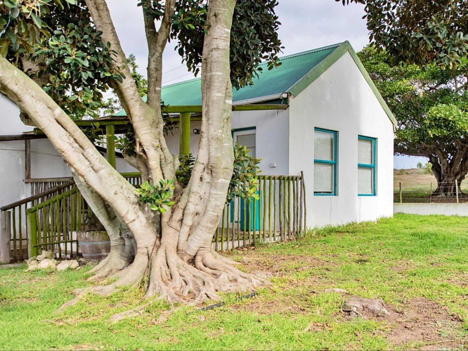 Wiggins Self Catering Apartment Jacobs Bay Bagian luar foto