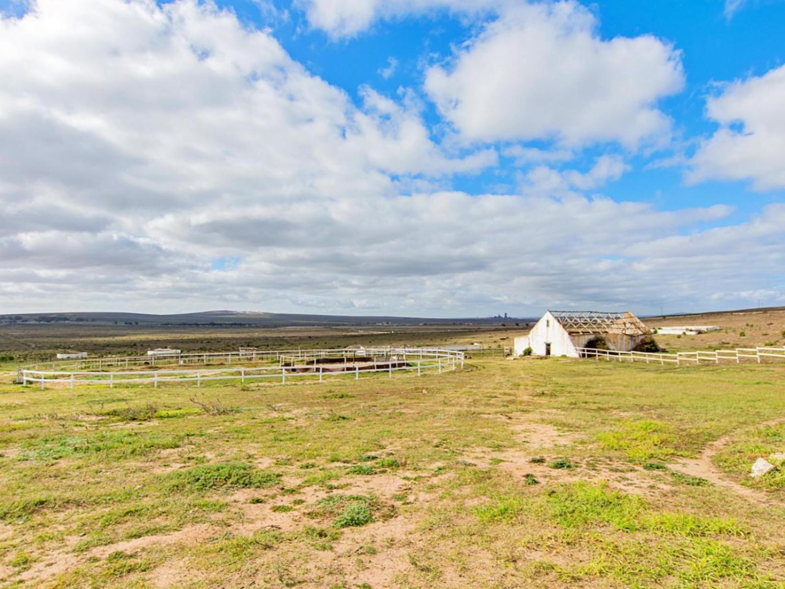 Wiggins Self Catering Apartment Jacobs Bay Bagian luar foto